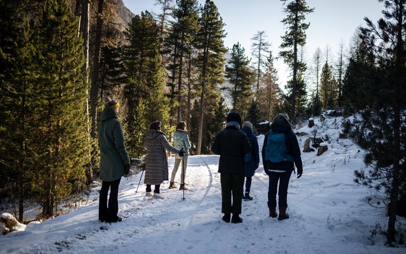 Mind-Body-Nature-Experience-Weg in Pontresina