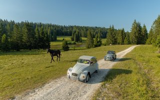 2cv parmi les chevaux