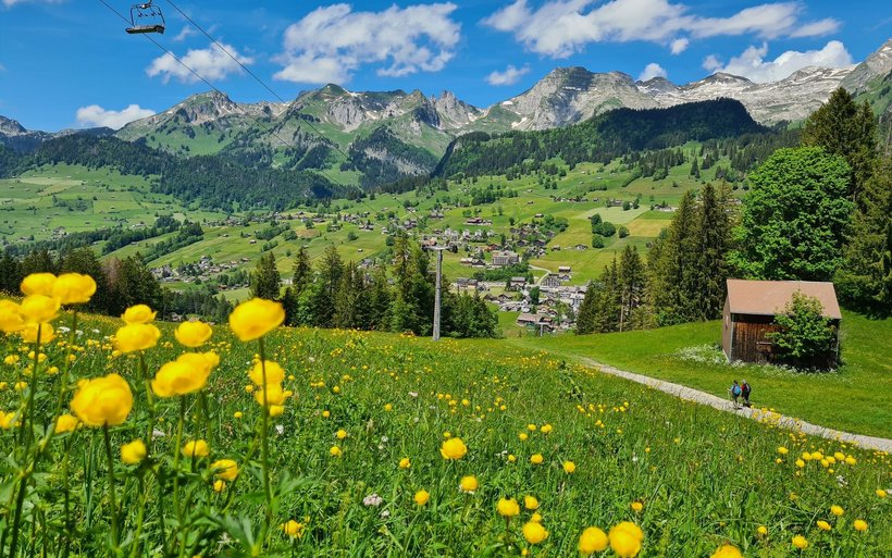 Regenfälle im Herbst verhinderten einen Sommersaison-Rekord bei den Wildhaus Bergbahnen.