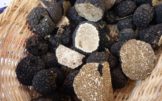 Les gourmets et amateurs de truffe auront l'occasion d'acheter le produit brut.  