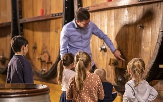 Kinder bei einer Weinführung 