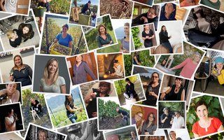 Une mosaïque de vigneronnes suisses