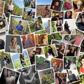 Une mosaïque de vigneronnes suisses