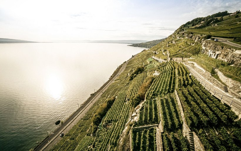 les vignes de Lavaux