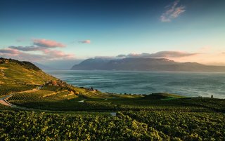 Les hôteliers romands savent mettre en avant leur patrimoine viticole, comme ici en Lavaux.