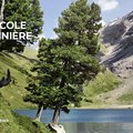 Les chemins de randonnées en Suisse