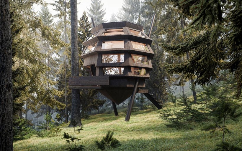 cocon hôtelier dans les arbres
