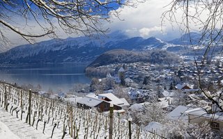 Vermehrt zieht es Gäste nach Spiez, wie zum Beispiel ins Schloss.