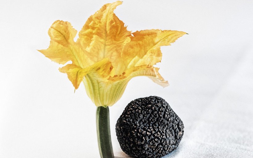 fleur de courgette et truffe