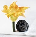 fleur de courgette et truffe