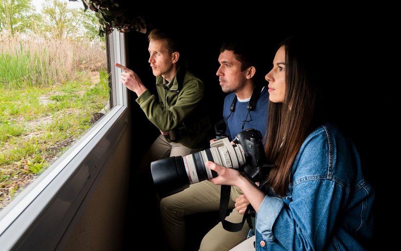 Hinter der Scheibe bleiben die Beobachtenden für die Tiere unsichtbar: Hoteleigener Foto-Hide.