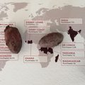 une carte géographique pour les chocolats