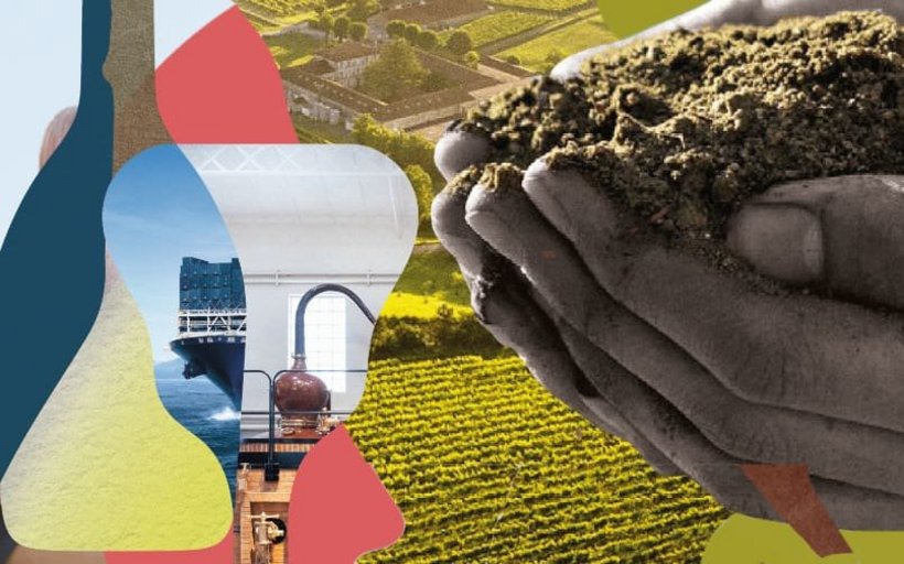 partenariat EHL et Moet Henessy