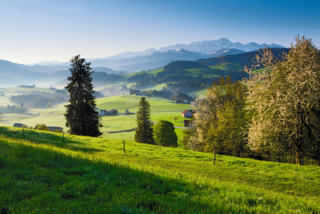 Blick auf den Kronberg.